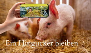 Langfristige Web-Unterstützung